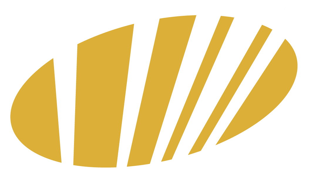 DSL Network Logo